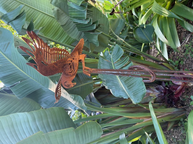 KAHU HORSE SHOE FREE RANG 